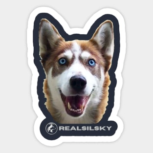 Red Husky - realSILSKY IG designs Sticker